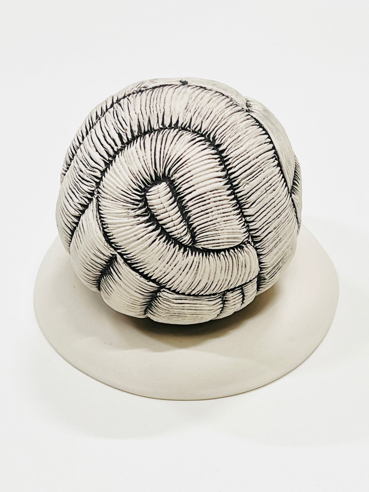 Rooted white sphere - SOLD