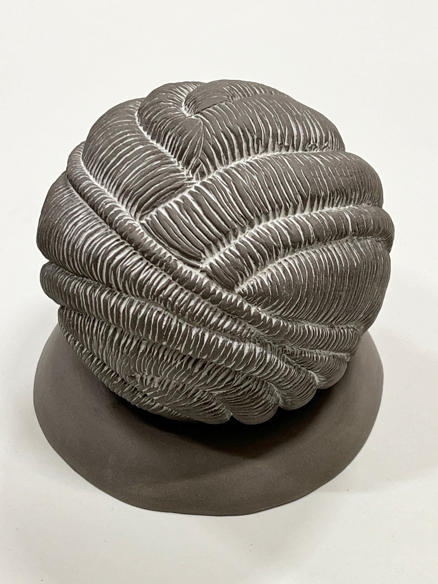 Rooted brown sphere