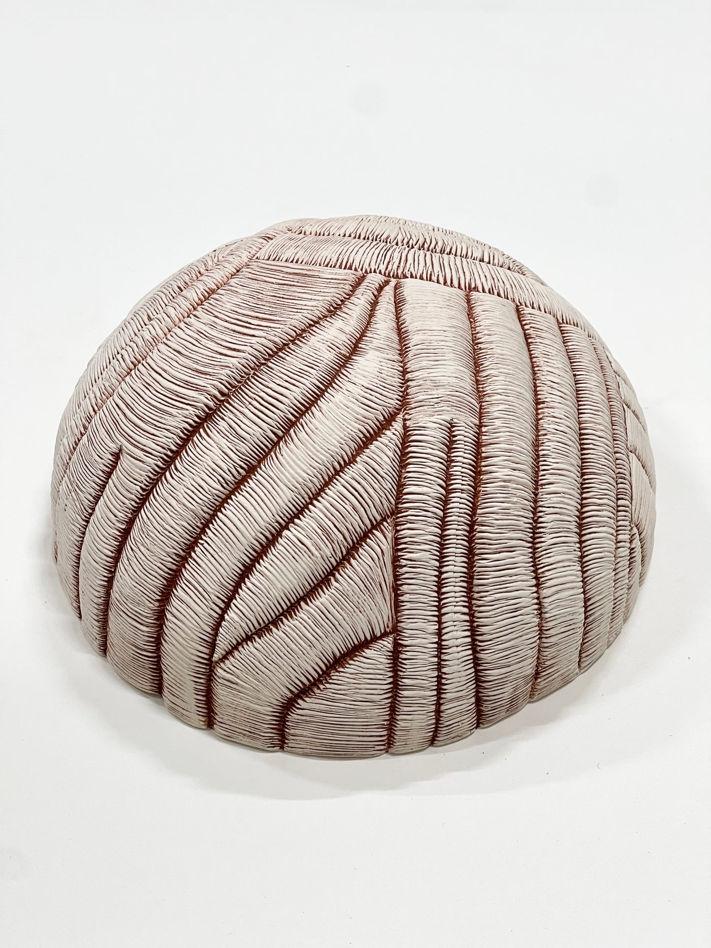 Rooted white half sphere