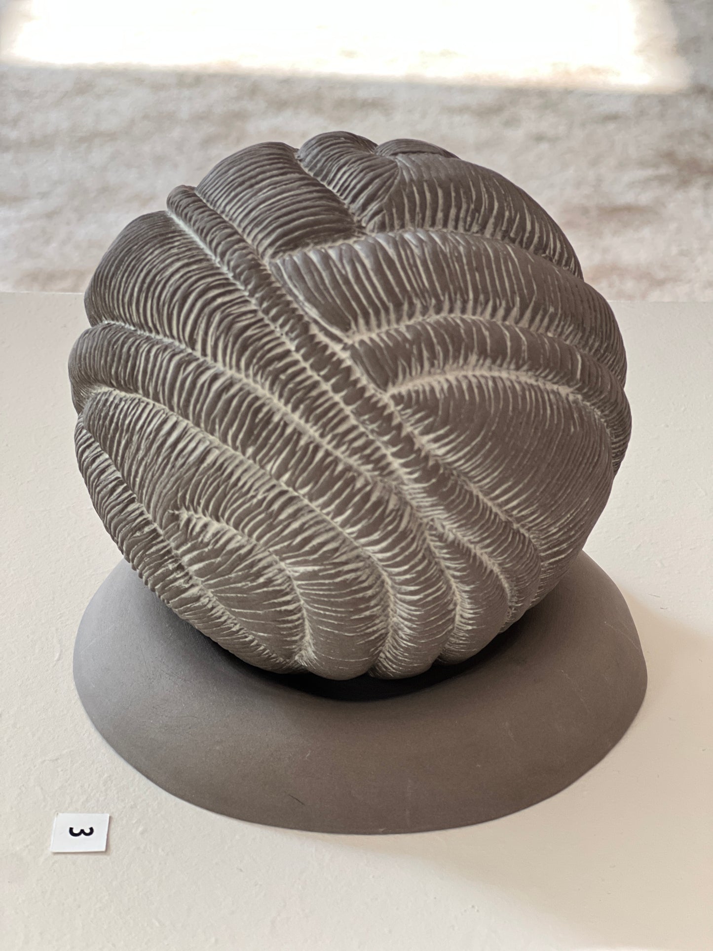 Rooted brown sphere