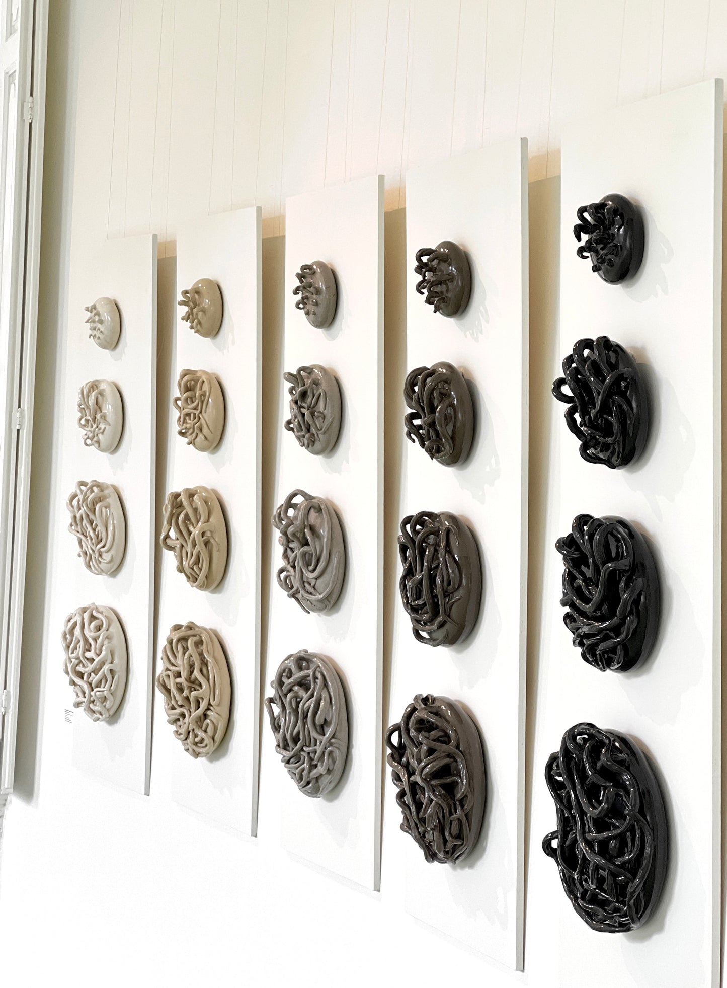 Rootweb wall sculptures black