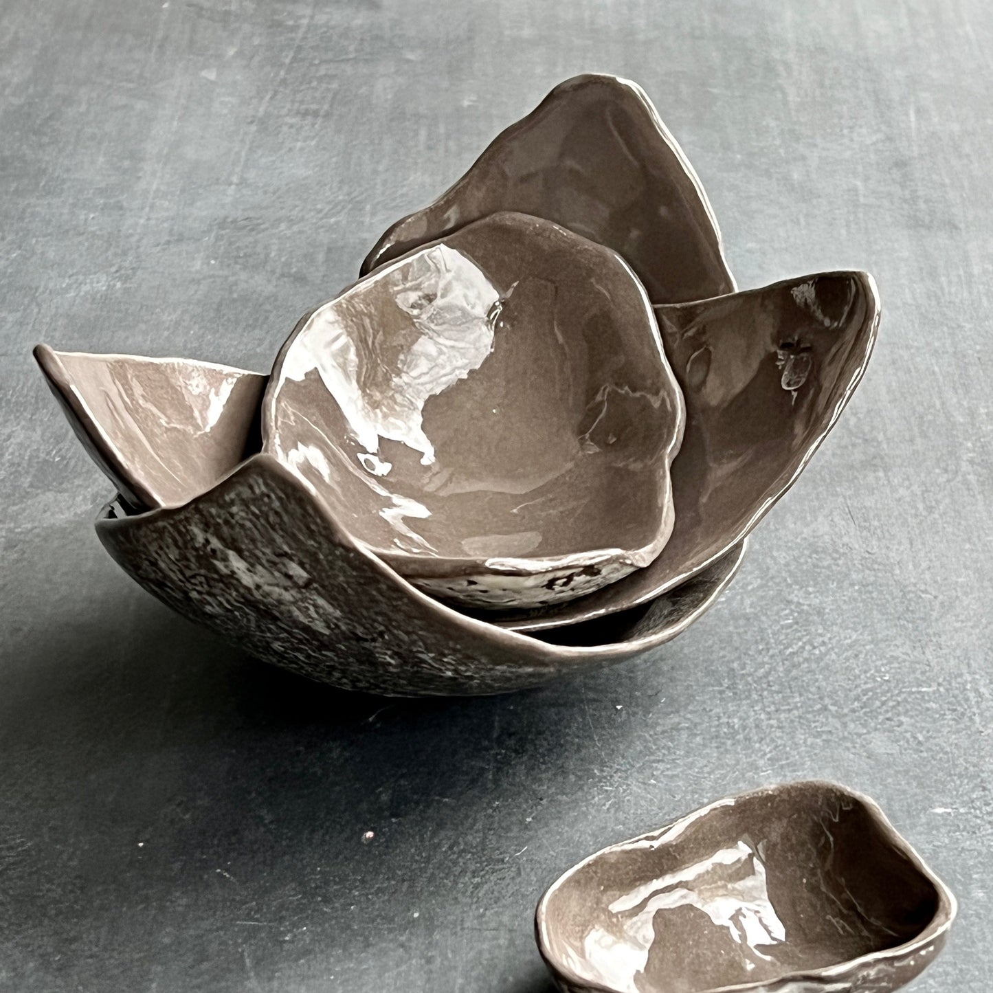 Set of bowls Fragments of the Amazon grey-brown