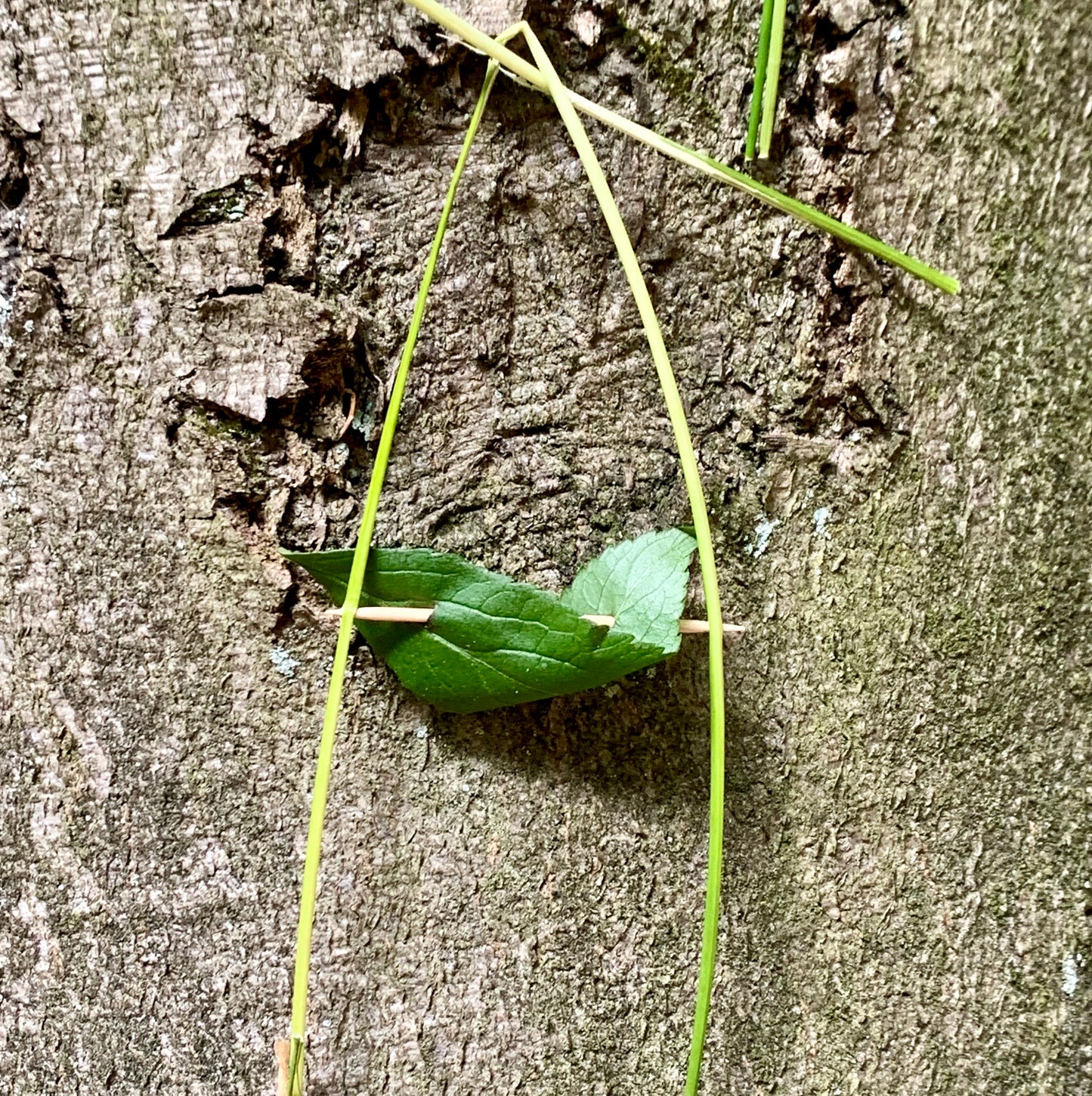 'Nature Art' 3-daagse retraite