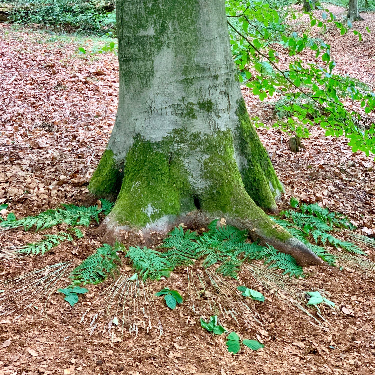 'Nature Art' 3-daagse retraite