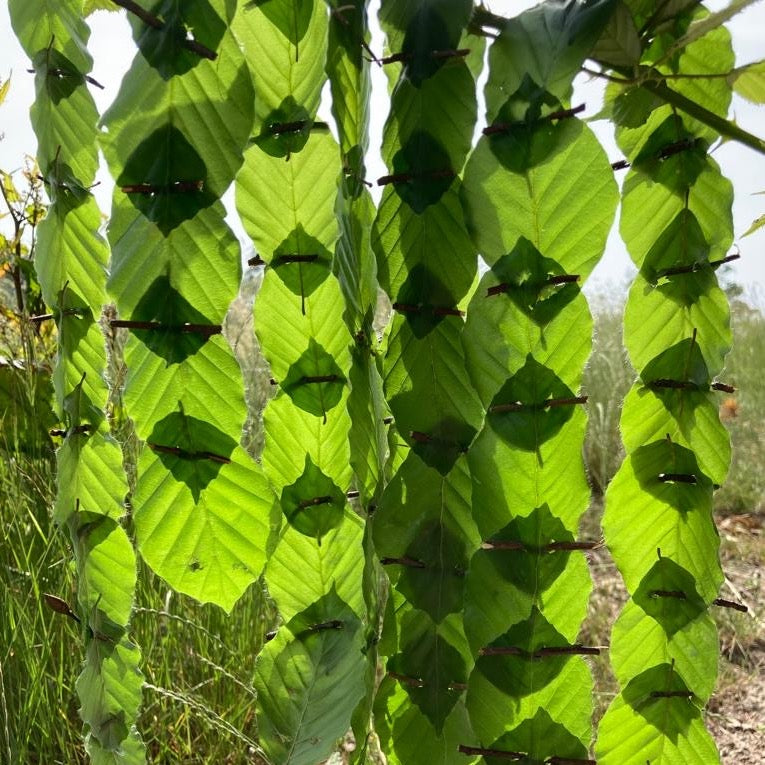 'Nature Art' 3-daagse retraite