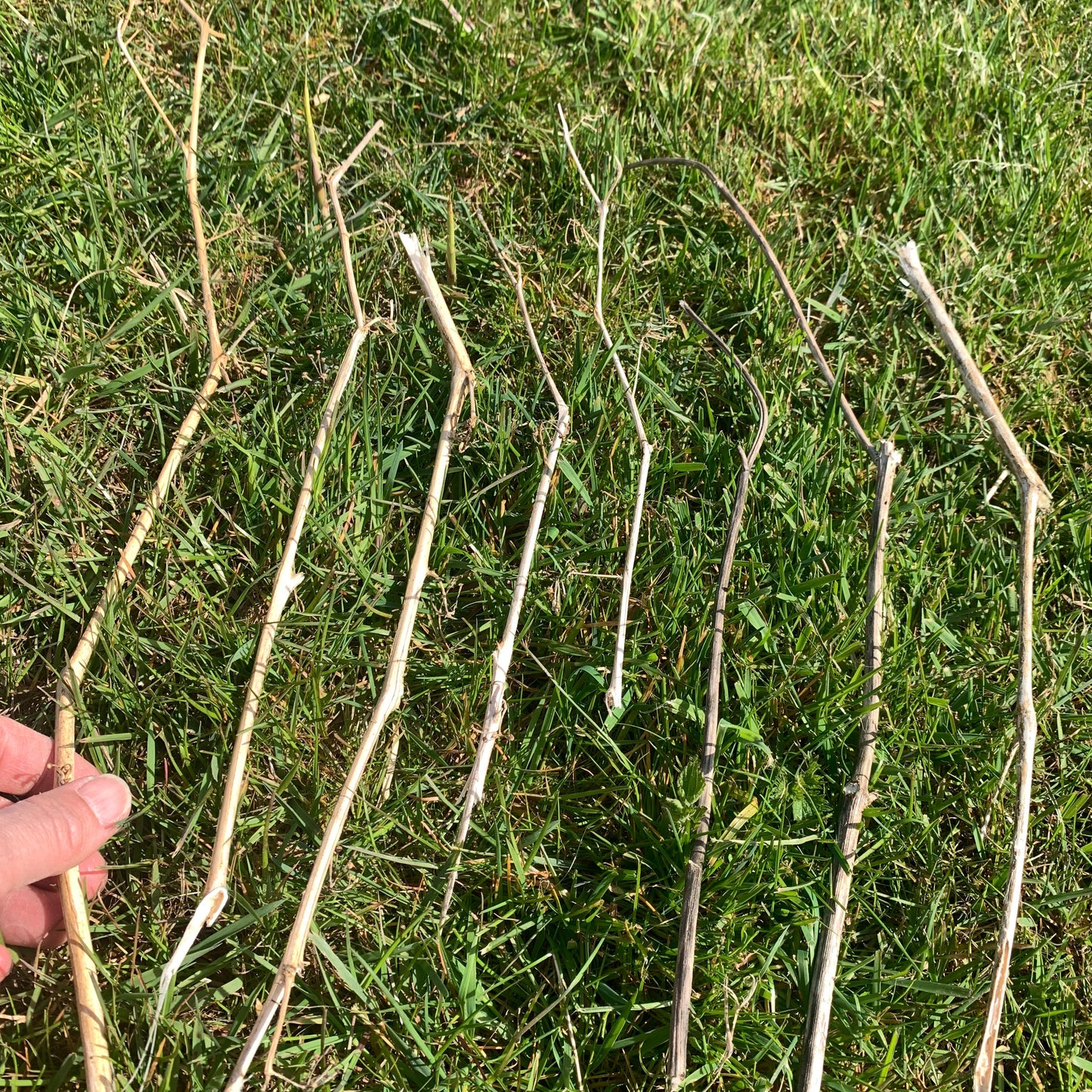 'Verken je creatieve natuur' 1- dags retraite